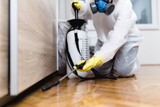Best Best Pest Control Companies  in Six Mile, SC