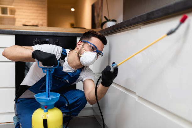 Best Exterminator Services  in Six Mile, SC