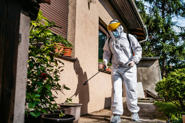 Best Mosquito Control Services  in Six Mile, SC