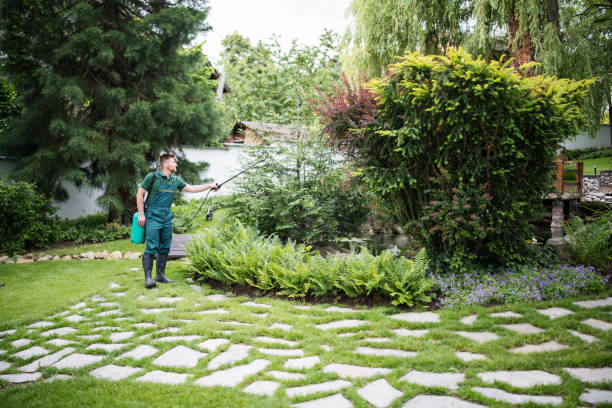 Best Wasp Removal Services  in Six Mile, SC
