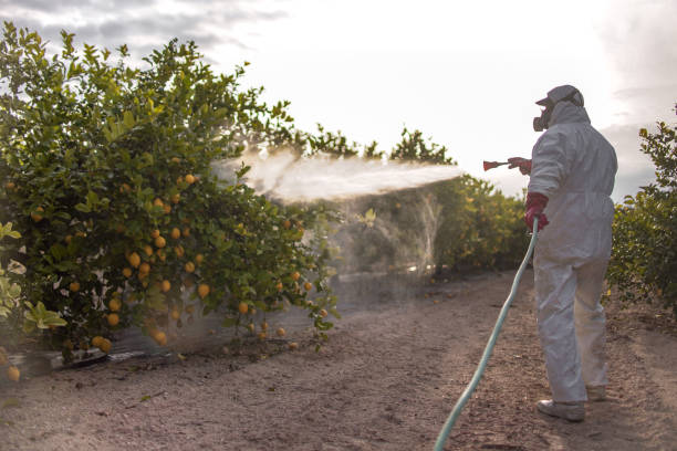 Best Pest Prevention Services  in Six Mile, SC