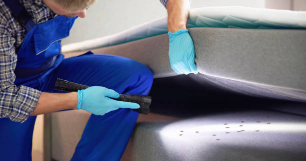 Best Local Pest Control Services  in Six Mile, SC